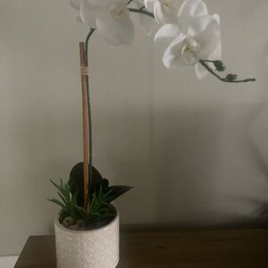 White Ceramic Orchid Planter with Faux Orchid Stem - Home Accents